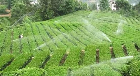 水肥一體化技術的優點